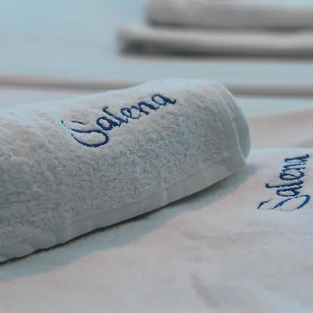 ホテル Salena プリモルスコ