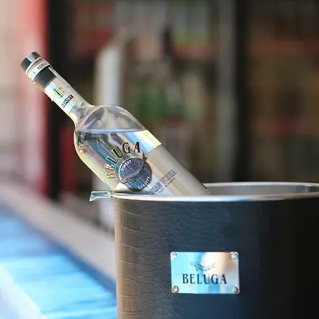 Salena ホテル プリモルスコ