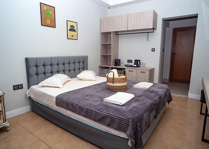 Salena 普里莫尔斯科