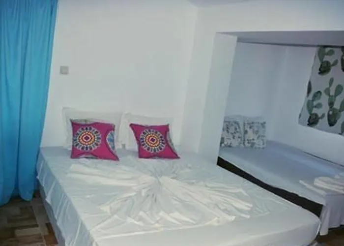 Salena 3* 普里莫尔斯科