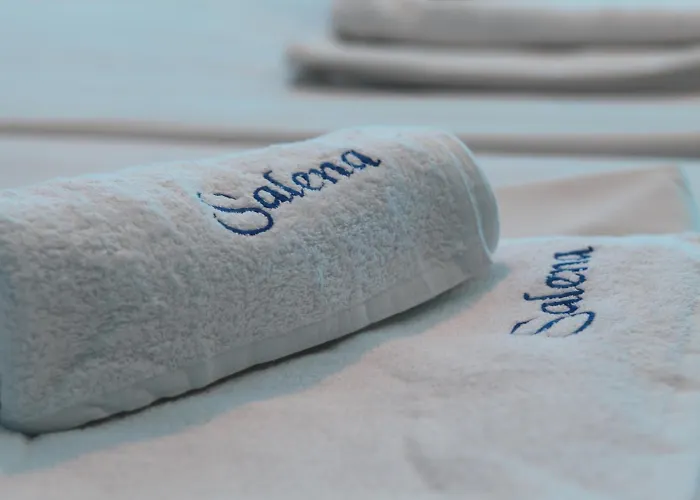 酒店 Salena 普里莫尔斯科