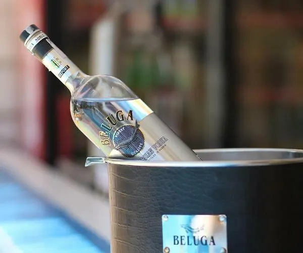 Salena 酒店 普里莫尔斯科